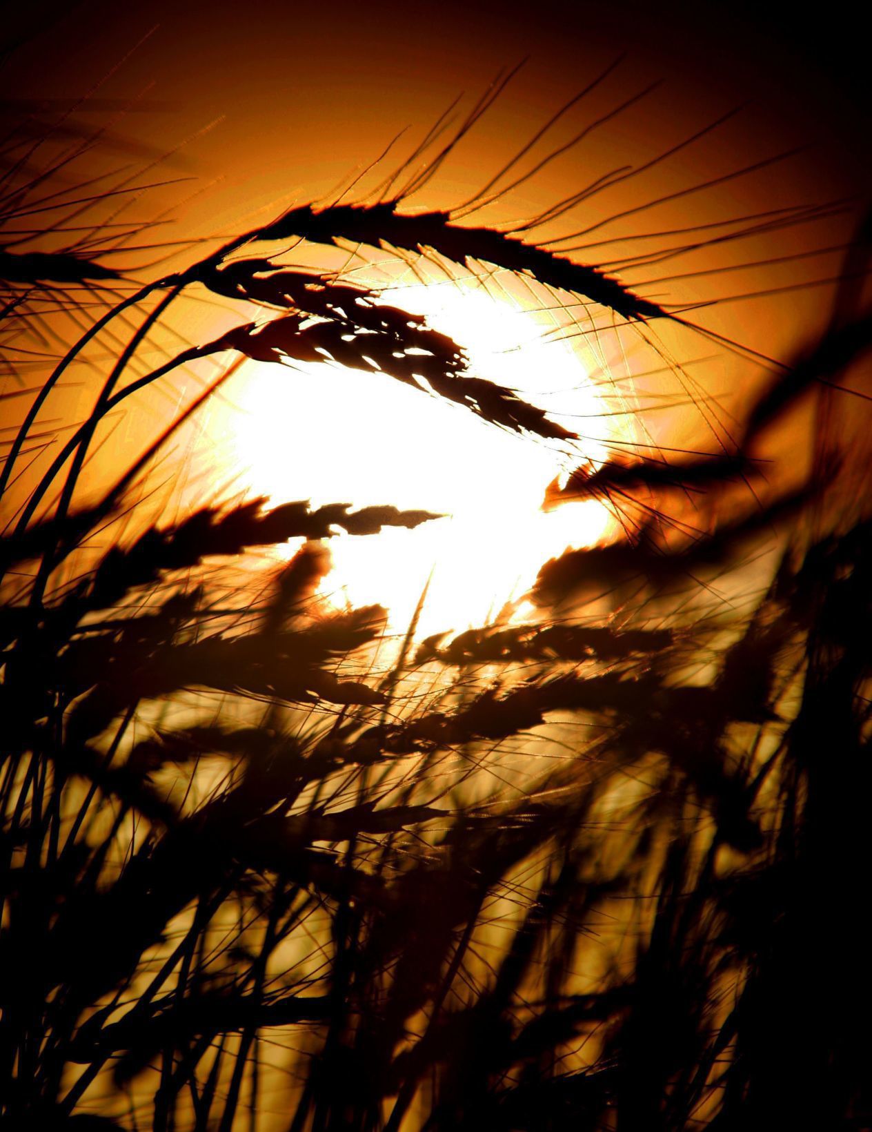Best of Nebraska